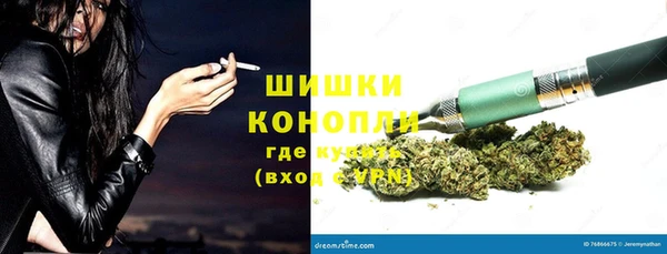 соль ск Бикин