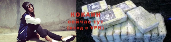 ALPHA PVP Ельня