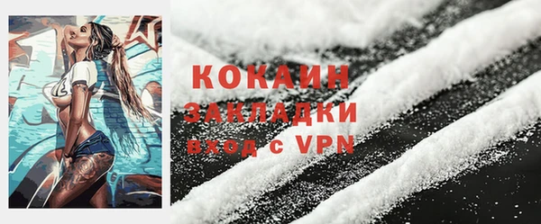 соль ск Бикин