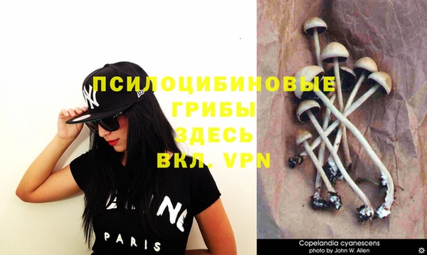 спайс Беслан