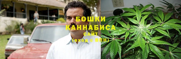 МДПВ Елизово
