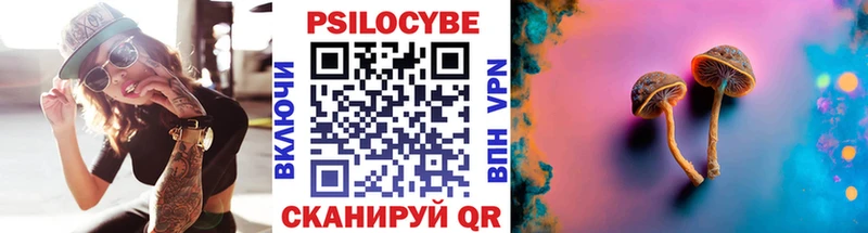 Галлюциногенные грибы Psilocybine cubensis  дарнет шоп  Ершов 