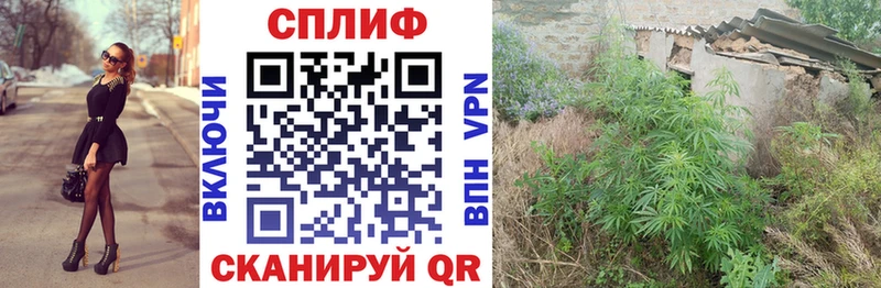 Бошки марихуана Amnesia  omg ССЫЛКА  нарко площадка как зайти  Ершов 